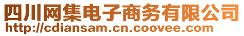四川網集電子商務有限公司