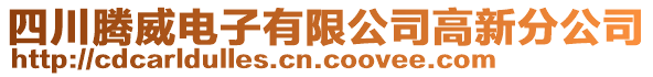 四川騰威電子有限公司高新分公司