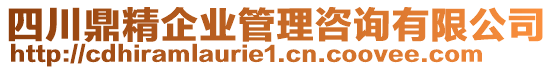 四川鼎精企業(yè)管理咨詢有限公司