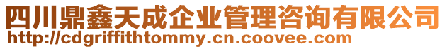 四川鼎鑫天成企業(yè)管理咨詢有限公司