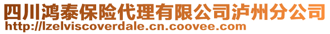 四川鴻泰保險代理有限公司瀘州分公司