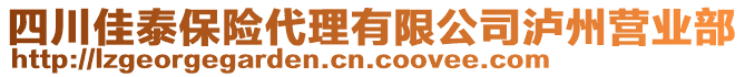 四川佳泰保險代理有限公司瀘州營業(yè)部