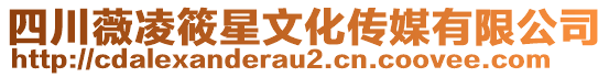 四川薇凌筱星文化傳媒有限公司