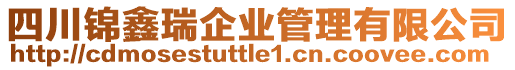 四川錦鑫瑞企業管理有限公司