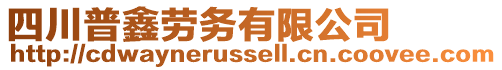 四川普鑫勞務(wù)有限公司