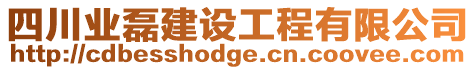 四川業(yè)磊建設(shè)工程有限公司