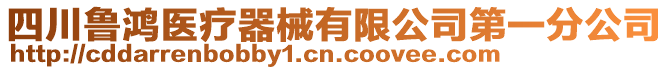 四川魯鴻醫療器械有限公司第一分公司