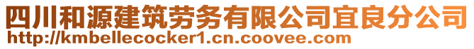 四川和源建筑勞務有限公司宜良分公司