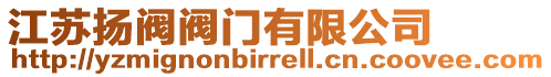 江蘇揚閥閥門有限公司