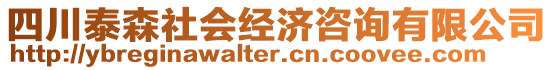 四川泰森社會經濟咨詢有限公司