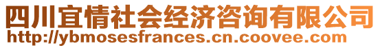 四川宜情社會(huì)經(jīng)濟(jì)咨詢有限公司