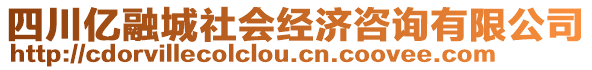 四川億融城社會(huì)經(jīng)濟(jì)咨詢有限公司