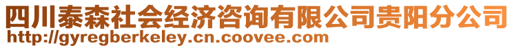 四川泰森社會經(jīng)濟咨詢有限公司貴陽分公司