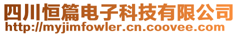 四川恒篇電子科技有限公司