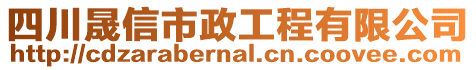 四川晟信市政工程有限公司