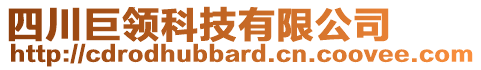 四川巨领科技有限公司