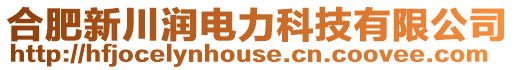 合肥新川潤電力科技有限公司