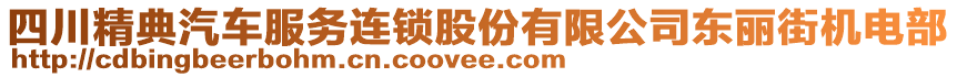 四川精典汽車服務(wù)連鎖股份有限公司東麗街機(jī)電部