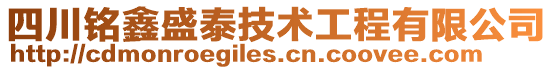 四川銘鑫盛泰技術(shù)工程有限公司