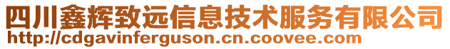 四川鑫輝致遠信息技術服務有限公司