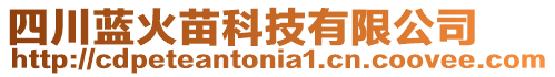 四川藍(lán)火苗科技有限公司