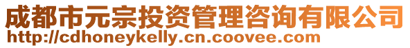 成都市元宗投資管理咨詢有限公司