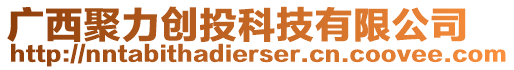 廣西聚力創投科技有限公司