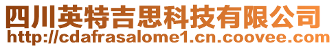 四川英特吉思科技有限公司