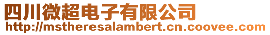 四川微超電子有限公司