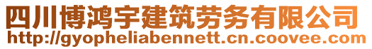 四川博鴻宇建筑勞務有限公司