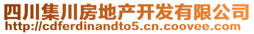 四川集川房地產(chǎn)開發(fā)有限公司