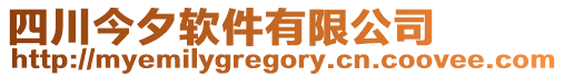 四川今夕軟件有限公司