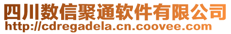 四川數(shù)信聚通軟件有限公司