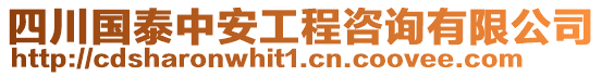 四川國泰中安工程咨詢有限公司