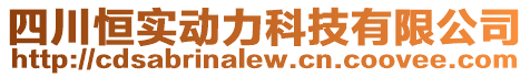 四川恒實動力科技有限公司