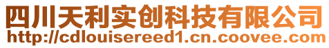 四川天利實創科技有限公司