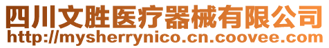 四川文勝醫(yī)療器械有限公司