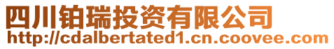 四川鉑瑞投資有限公司