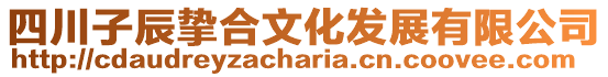 四川子辰摯合文化發(fā)展有限公司