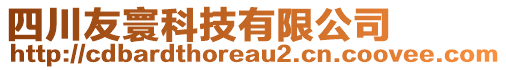 四川友寰科技有限公司