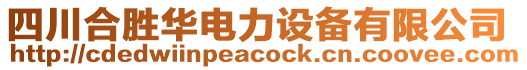 四川合勝華電力設備有限公司