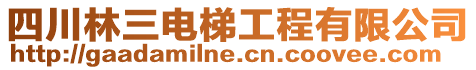 四川林三電梯工程有限公司