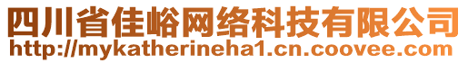 四川省佳峪網(wǎng)絡(luò)科技有限公司