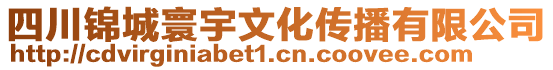 四川錦城寰宇文化傳播有限公司