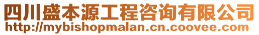 四川盛本源工程咨詢有限公司