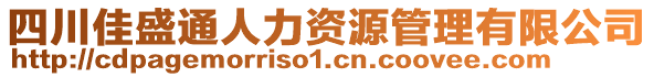 四川佳盛通人力資源管理有限公司