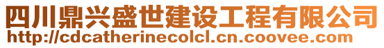 四川鼎興盛世建設工程有限公司