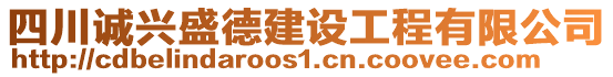 四川誠興盛德建設(shè)工程有限公司