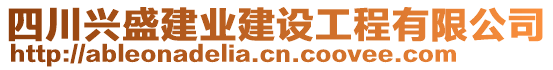 四川興盛建業(yè)建設(shè)工程有限公司