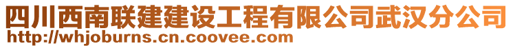 四川西南聯(lián)建建設(shè)工程有限公司武漢分公司